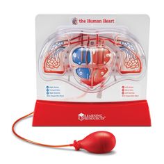 the human heart is in its packaging and ready to be used as an interactive toy