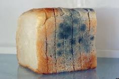 a piece of bread that is on top of a table with blue and white dye