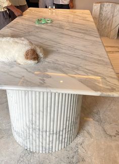 a dog laying on top of a marble table in a room with people standing around