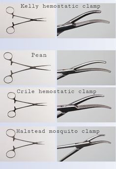 four different types of scissors are shown in this diagram, with the names below them