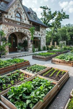 сад Ranch Garden, Gardener Aesthetic, Tattoo Garden, Garden Tattoo, Backyard Garden Landscape, Aesthetic Garden, Veg Garden, Home Vegetable Garden, Vegetable Garden Design