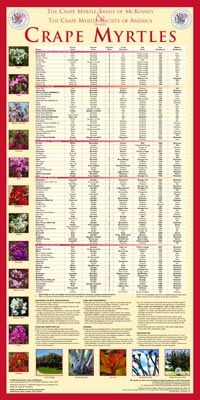 a poster with the names and numbers of grape myrtiies