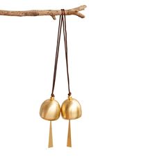 two brass bells hanging from a tree branch