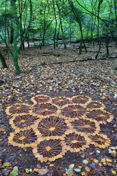 a circular design made out of leaves on the ground in front of trees and foliage