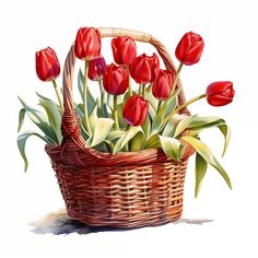 a basket filled with lots of red flowers