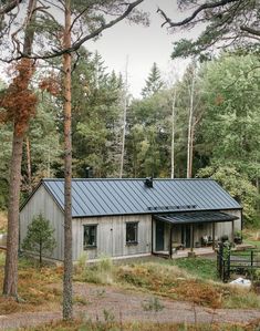 a house in the woods with a metal roof