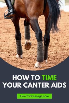 a person riding on the back of a brown horse with text overlay reading how to time your canter aids