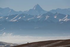 the mountains are covered in snow and there is a lone animal standing on the hill