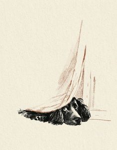 a black and white drawing of a dog laying on the ground with its head under a blanket