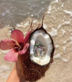 a person holding a flower in their hand on the beach