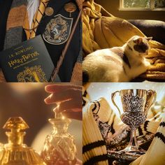 a collage of harry potter items including a hogwarts book and a cat