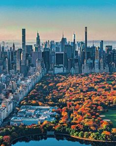 an aerial view of new york city with autumn foliage in the foreground and central park in the background