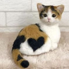 a cat sitting on top of a white rug