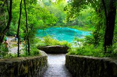 a stone walkway leading to a blue pool in the woods with people swimming on it