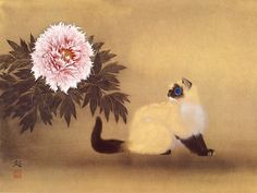 a cat sitting next to a flower on top of a brown ground with white and pink flowers