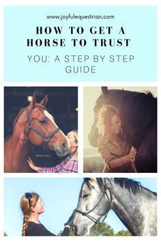 a woman is petting a horse with the words how to get a horse to trust you