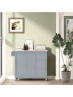 a room with a potted plant on the floor and a gray cabinet in front of it