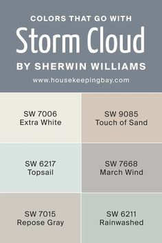 the colors that go with storm cloud by sherylin williams