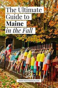 the ultimate guide to maine in the fall with lots of colorful umbrellas on display