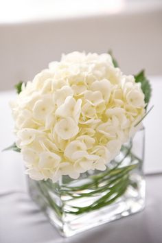 a vase filled with white flowers on top of a table