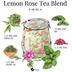 the ingredients for lemon rose tea blend are shown in this watercolor painting style illustration