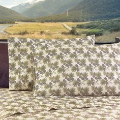 two pillows sitting on top of a bed next to a window with mountains in the background