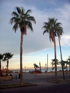 palm trees line the street in front of an ocean and beach area at dusk,