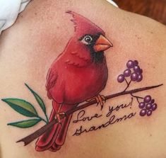 a red bird sitting on top of a tree branch with the words love you grandma