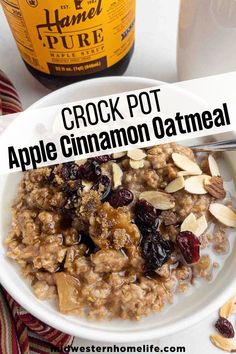 crock pot apple cinnamon oatmeal in a white bowl