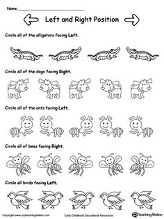 the worksheet for learning how to draw animals