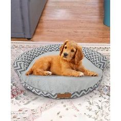 a brown dog laying on top of a gray and white bed in a living room