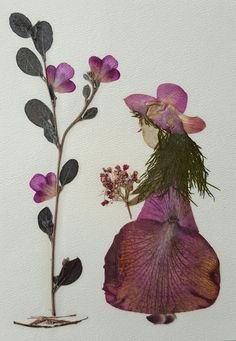 a purple flower and some leaves on a white surface