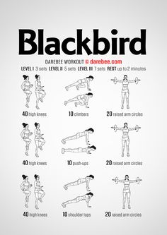 an exercise poster with the instructions for blackbird workouts and exercises to do at home