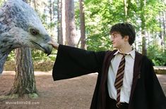 a young man dressed as harry potter touches the head of an owl in front of him