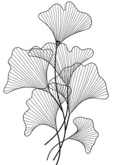 a drawing of a plant with large leaves