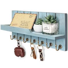 a blue shelf with key hooks and keys hanging from it's sides next to a potted plant