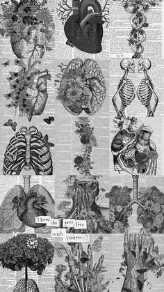 an old book with many different types of heart and lungs