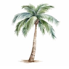 a watercolor painting of a palm tree with green leaves on the top and bottom