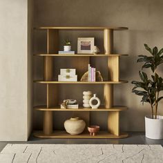 a wooden shelf with books, vases and other items on it next to a potted plant