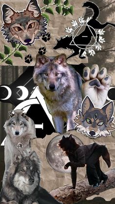 the wolfs are all different colors and sizes