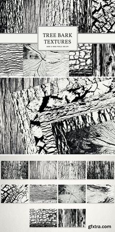 tree bark textures for photoshopped and inked by extracompute com