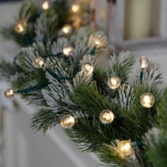 christmas lights are hanging from the branches of a pine tree