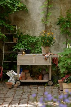 an outdoor garden with potted plants and gardening equipment