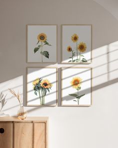 three sunflowers are displayed on the wall above a dresser