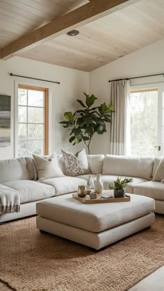 a living room filled with furniture and a large potted plant