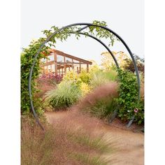 an arch in the middle of a garden with flowers and plants around it is surrounded by tall grass