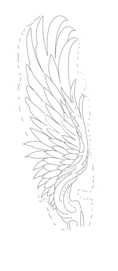 a drawing of an angel's wing on a white background, with lines drawn across it