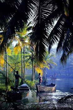 two people in a boat on a river surrounded by palm trees