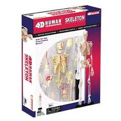 the human skeleton model set is in its box and it's contents are shown