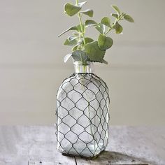 a white vase with green plants in it on a table next to a remote control